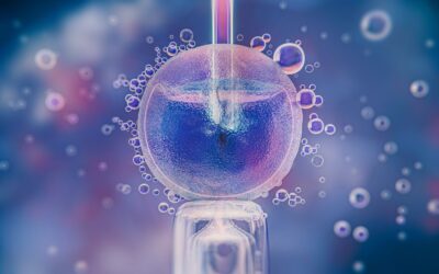 A Step-By-Step Look at the IVF Process