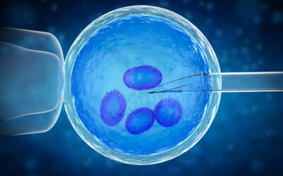 Blastocyst Transfer for IVF Success by Best IVF doctor in chennai-Dr.jeyarani kamaraj and Dr.Niveditha Kamaraj