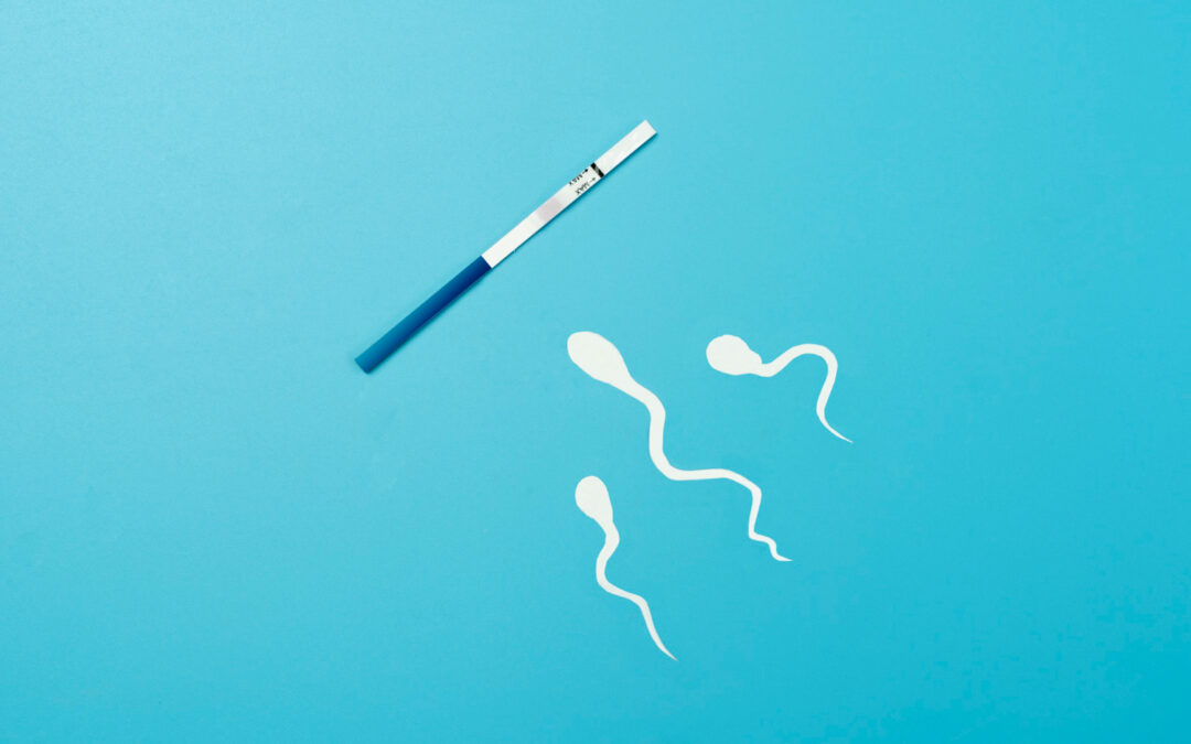 How do you test for female fertility?