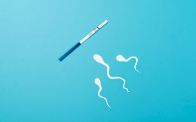 How do you test for female fertility?